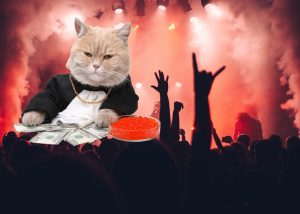 money hacks for metalheads and old millennials